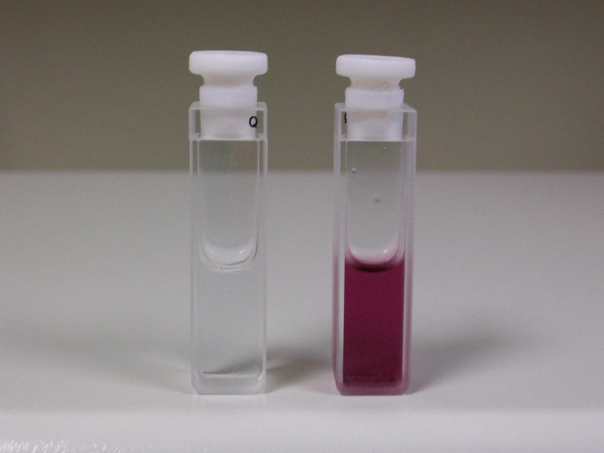 Research-Bio-AuNP-120h.jpg