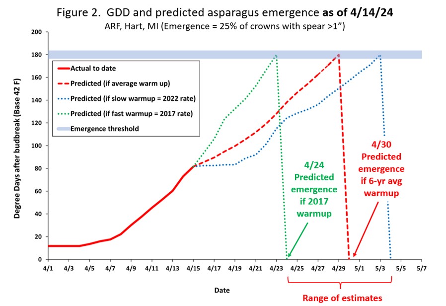 Line graph showing predicted emergence dates of asparagus.