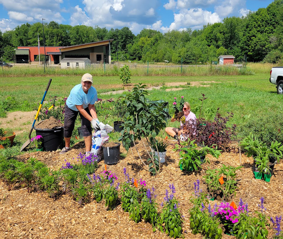 A gardener planting a pollinator smart habitat garden.