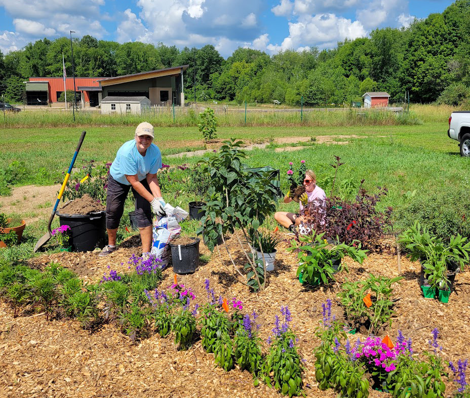 A gardener planting a pollinator smart habitat garden.
