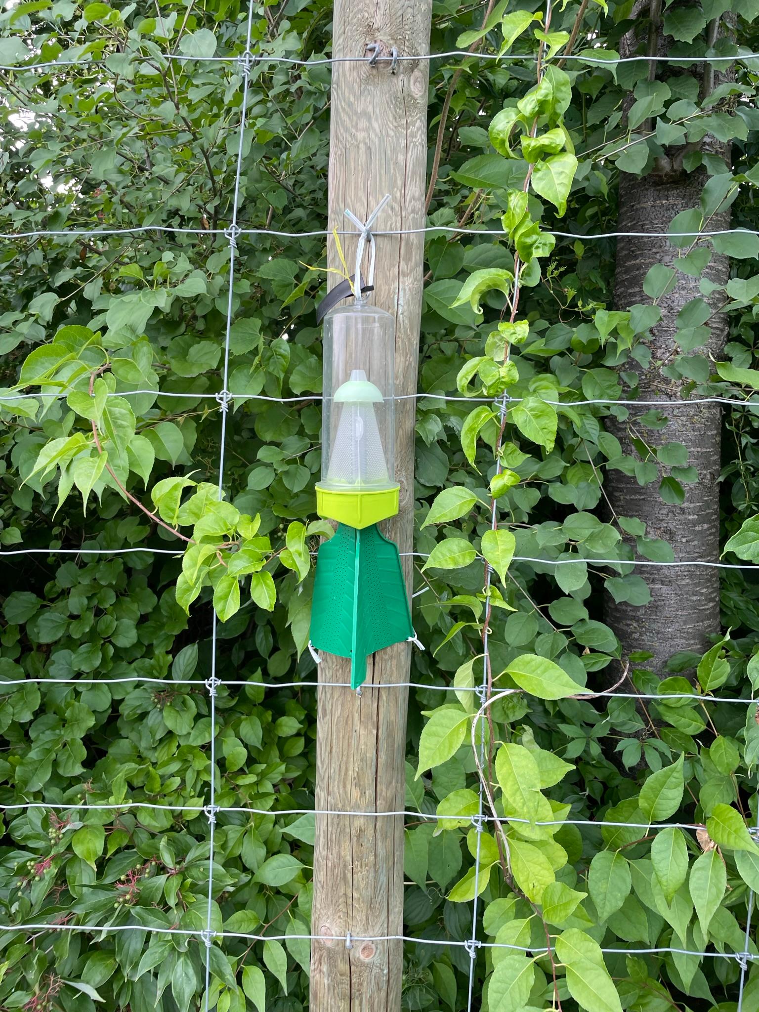 A bug trap attached to a pole next to a field.