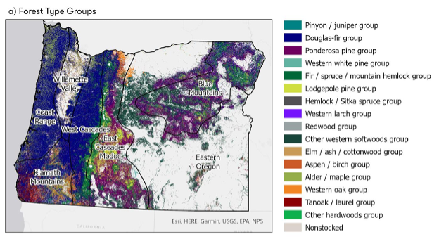 ForestTypeGroups.png