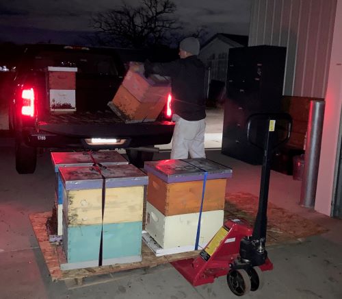 Person unloading beehive from truck