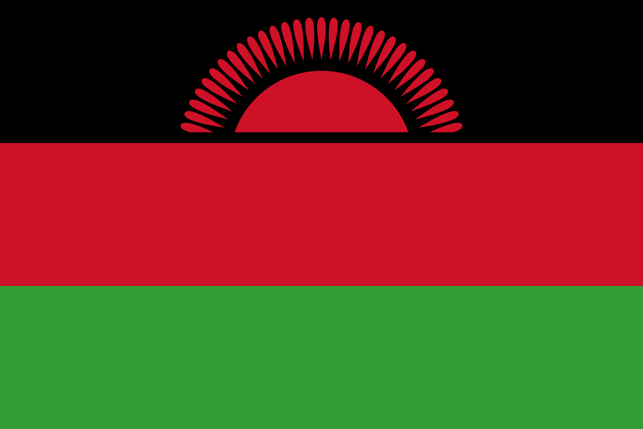Flag_of_Malawi.svg.png