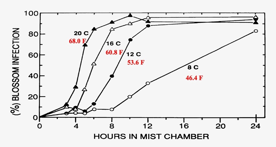 Line graph showing percent blossom infection over hours in a mist chamber at different temperatures (8°C to 20°C), illustrating faster and higher infection rates at warmer temperatures.