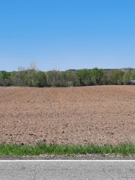 Newly planted corn