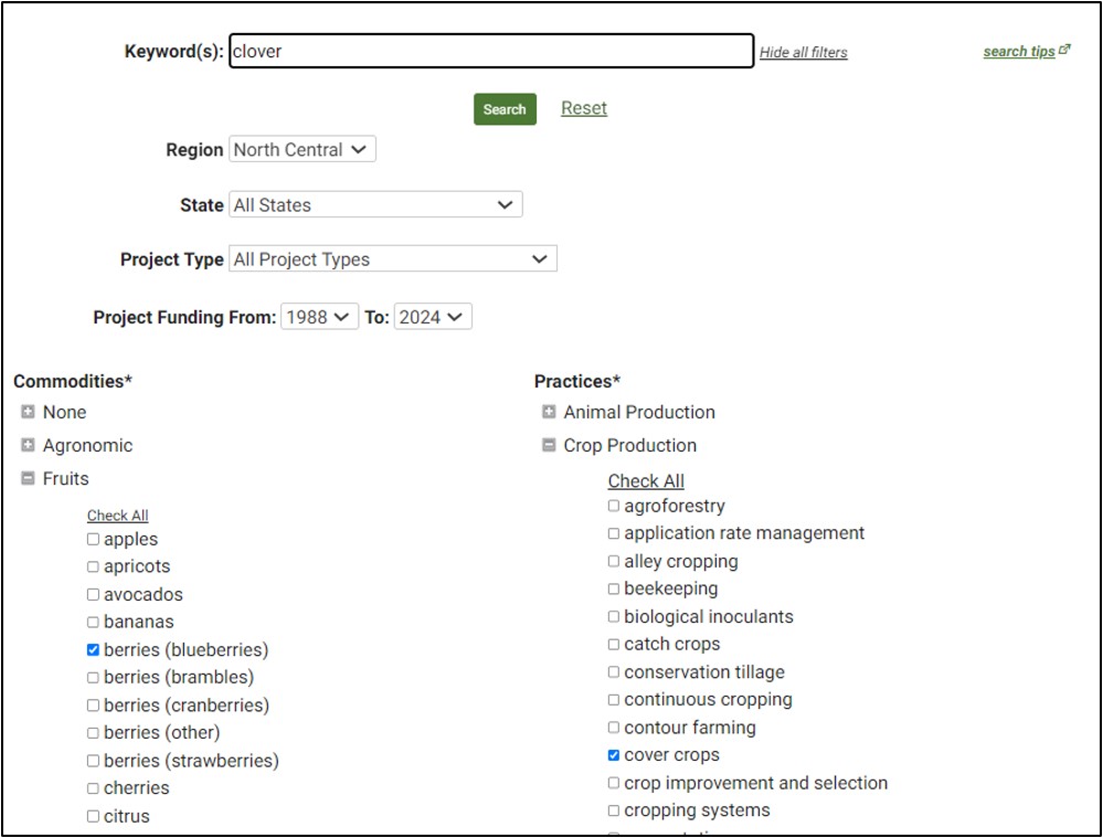 project report in research