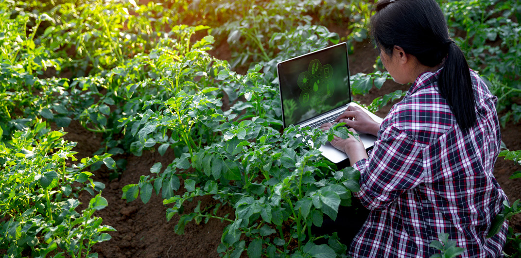 Young farmer in a field looking at laptop computer.