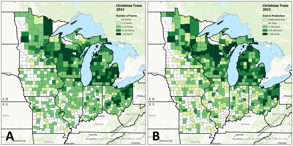 Maps of the Great Lakes region showing Christmas tree production by county.