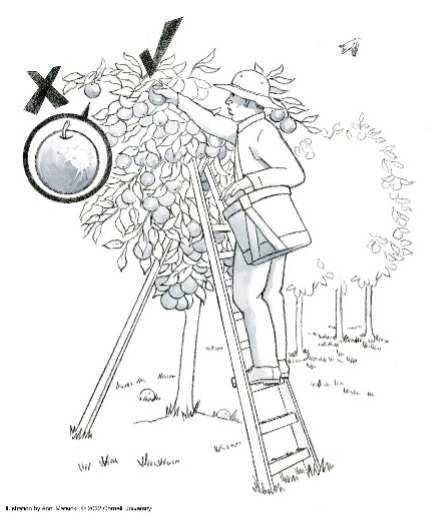 Picture4.jpg