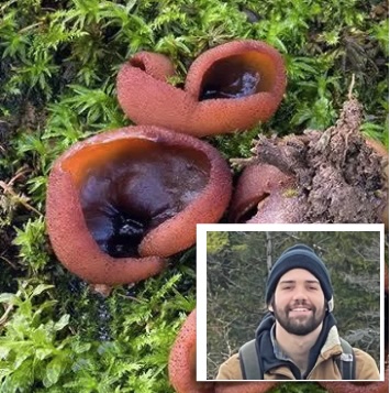 JuddSquare.jpg