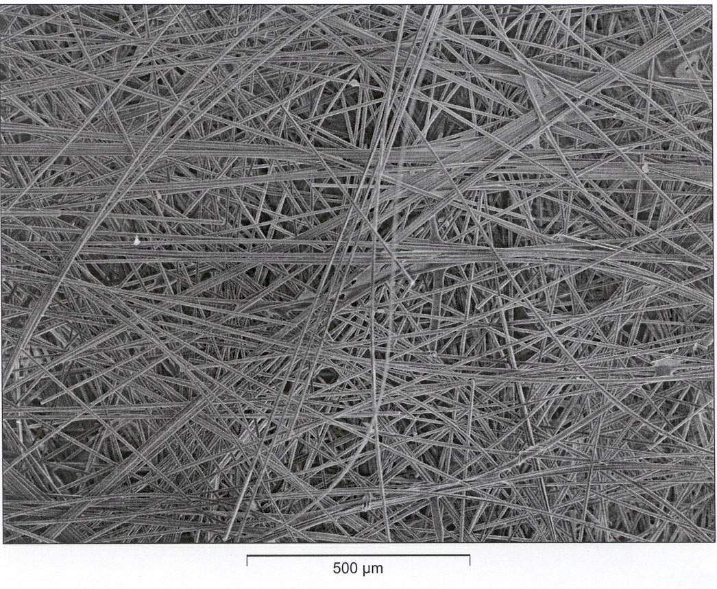 Research-Pani-nanowire-bundle.jpg