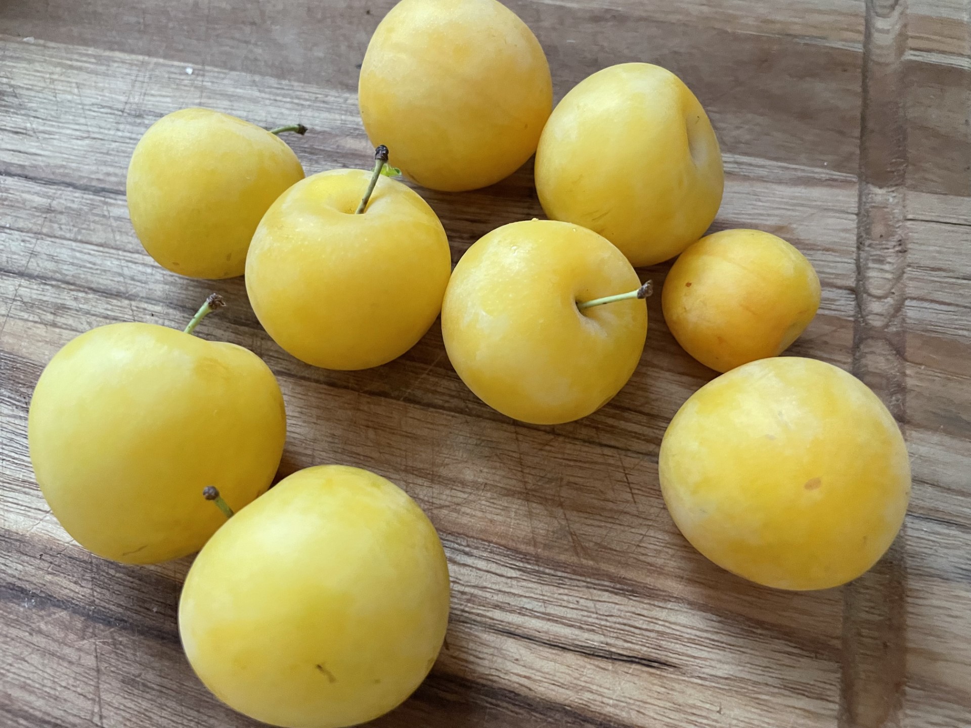 Yellow Plums