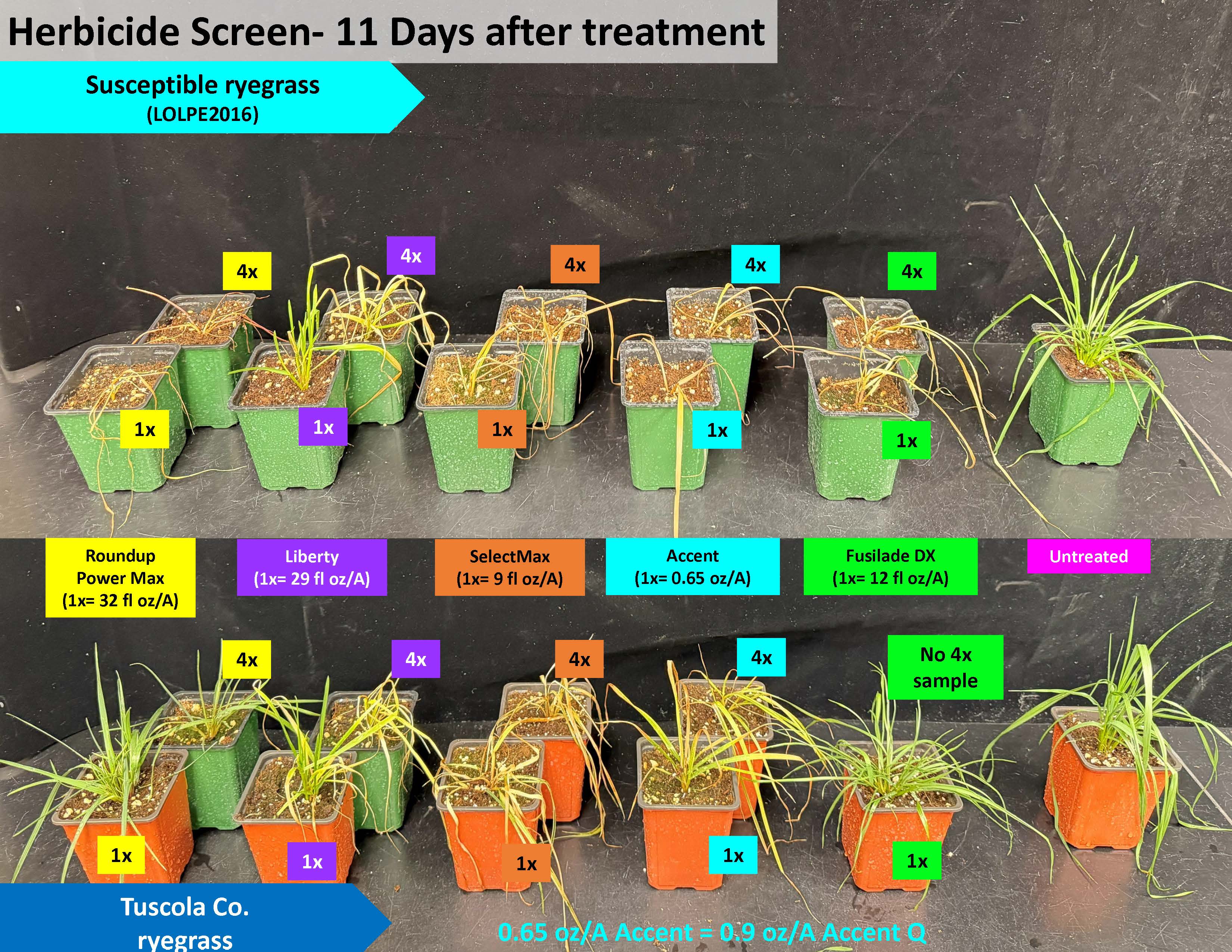 2026 Status of herbicide-resistant weeds in Michigan - Plant & Pest  Diagnostics
