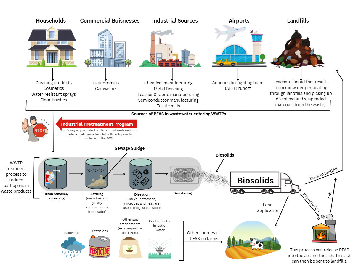 Diagram showing pathways of PFAS contamination entering wastewater treatment plants from households, commercial businesses, industrial sources, airports, and landfills. The diagram shows PFAS moving through wastewater treatment into sewage sludge, becoming biosolids, and then being applied to land, incinerated, or sent to landfills, with potential release to farms, soil, water, air, and ash. This diagram also shows other PFAS inputs to farms which are rainwater, pesticides, other soil amendments like compost or fertilizer and contaminated irrigation water.