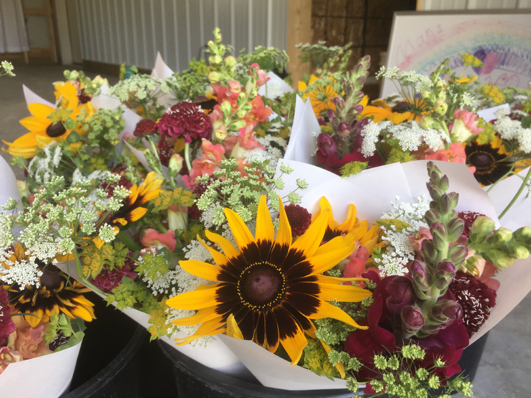 Bouquets if cut flowers.