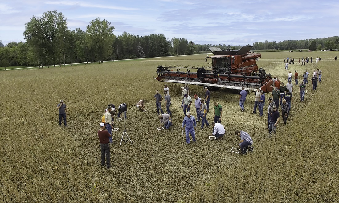People in a soybean field for a plot day