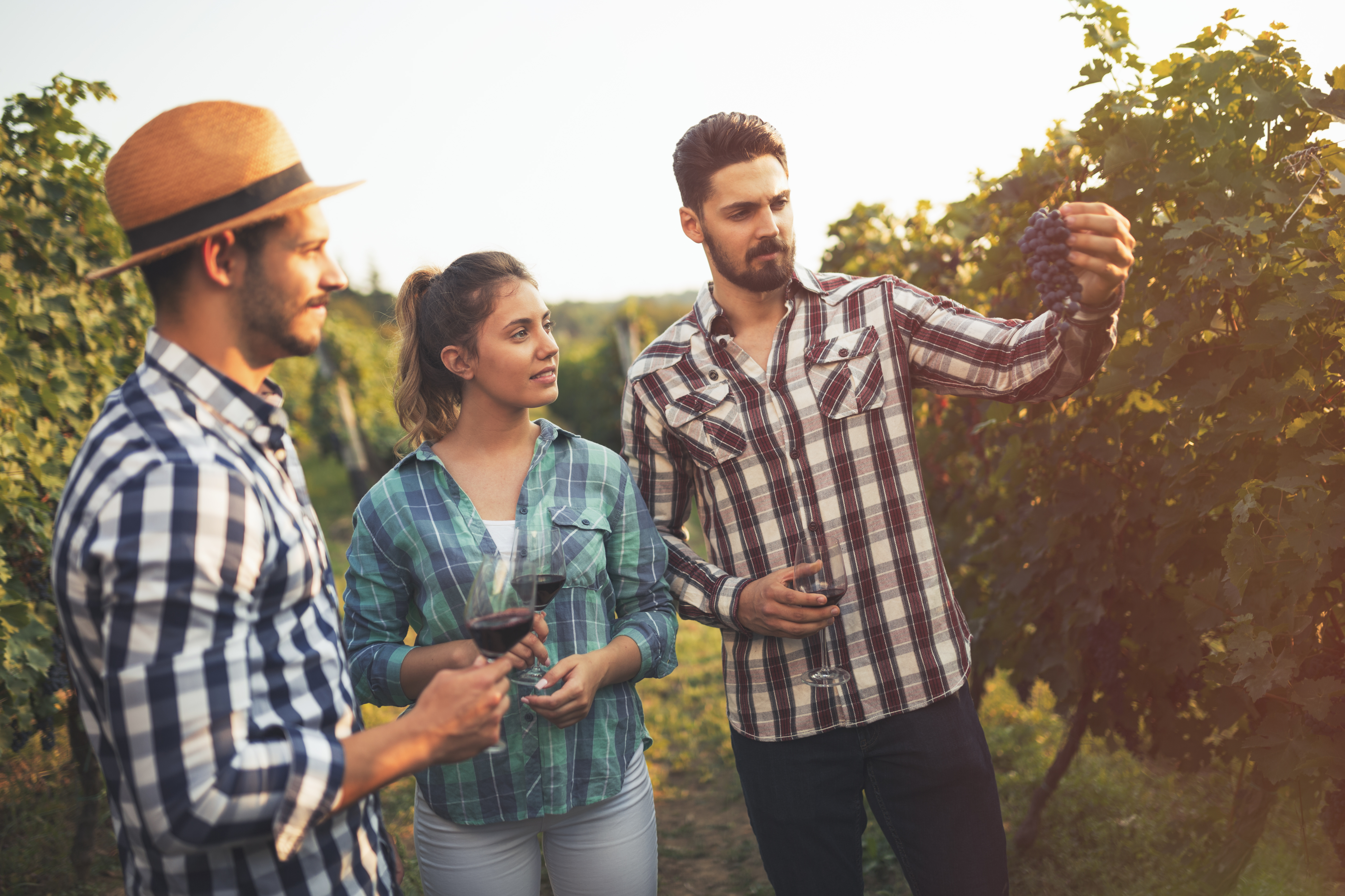 IStock-625298550.jpg