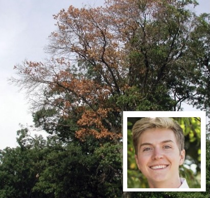 EthanWachendorfSquare.jpg