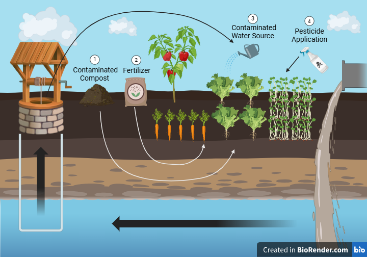 How to Avoid Contamination in Soil Samples: Expert Tips