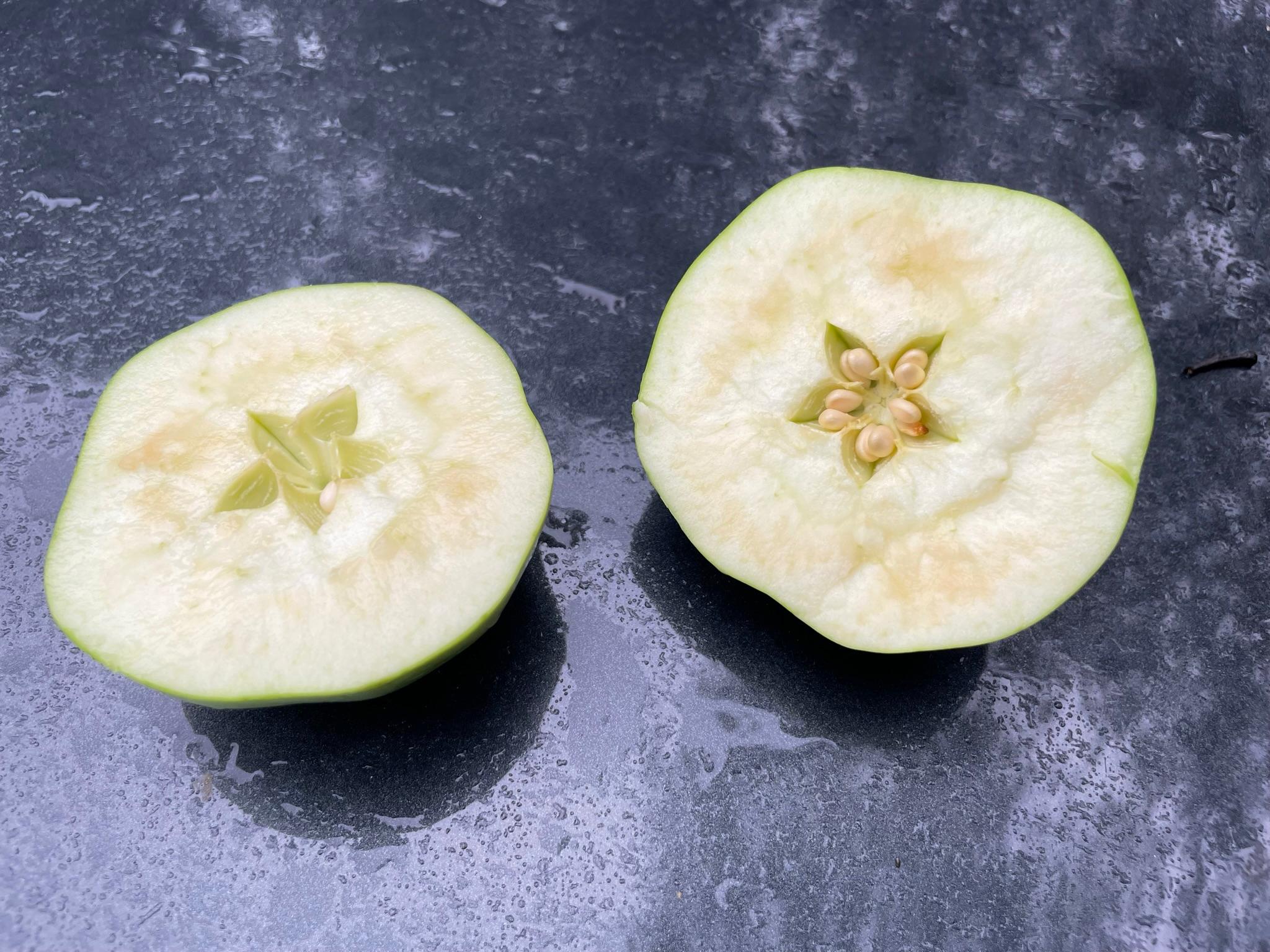 An apple cut in half.