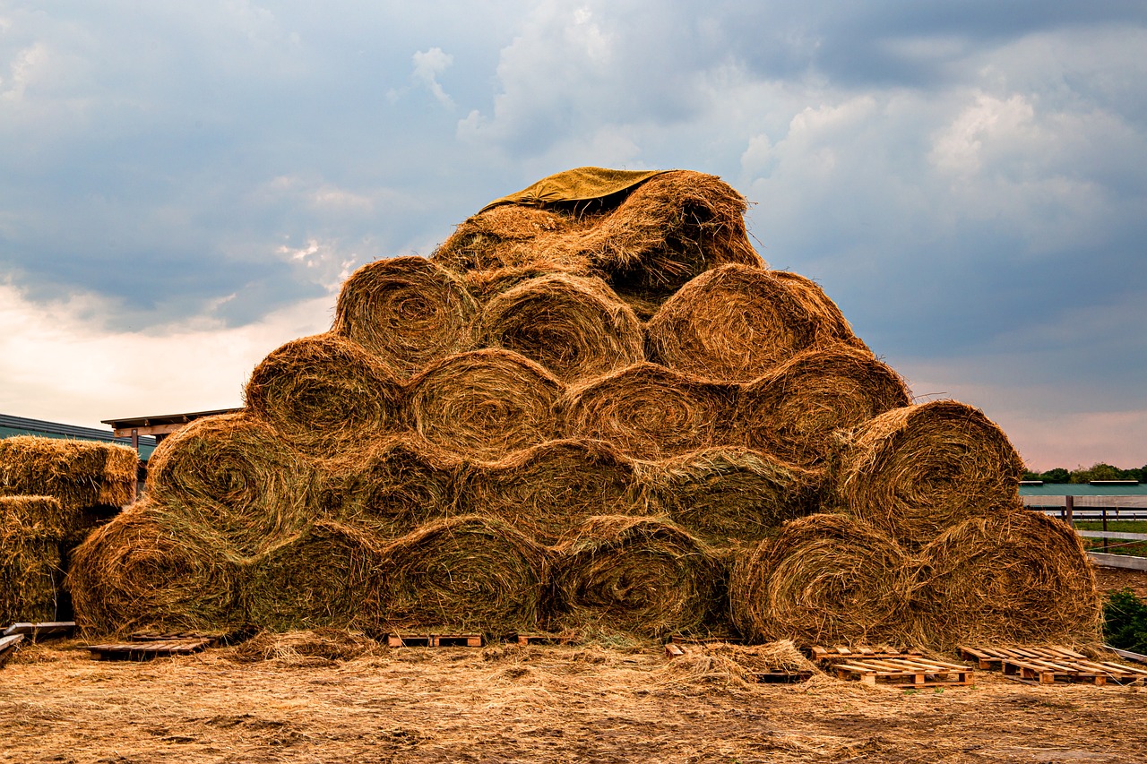 Hay bales stacked on top of each other showing poor quality and sagging.