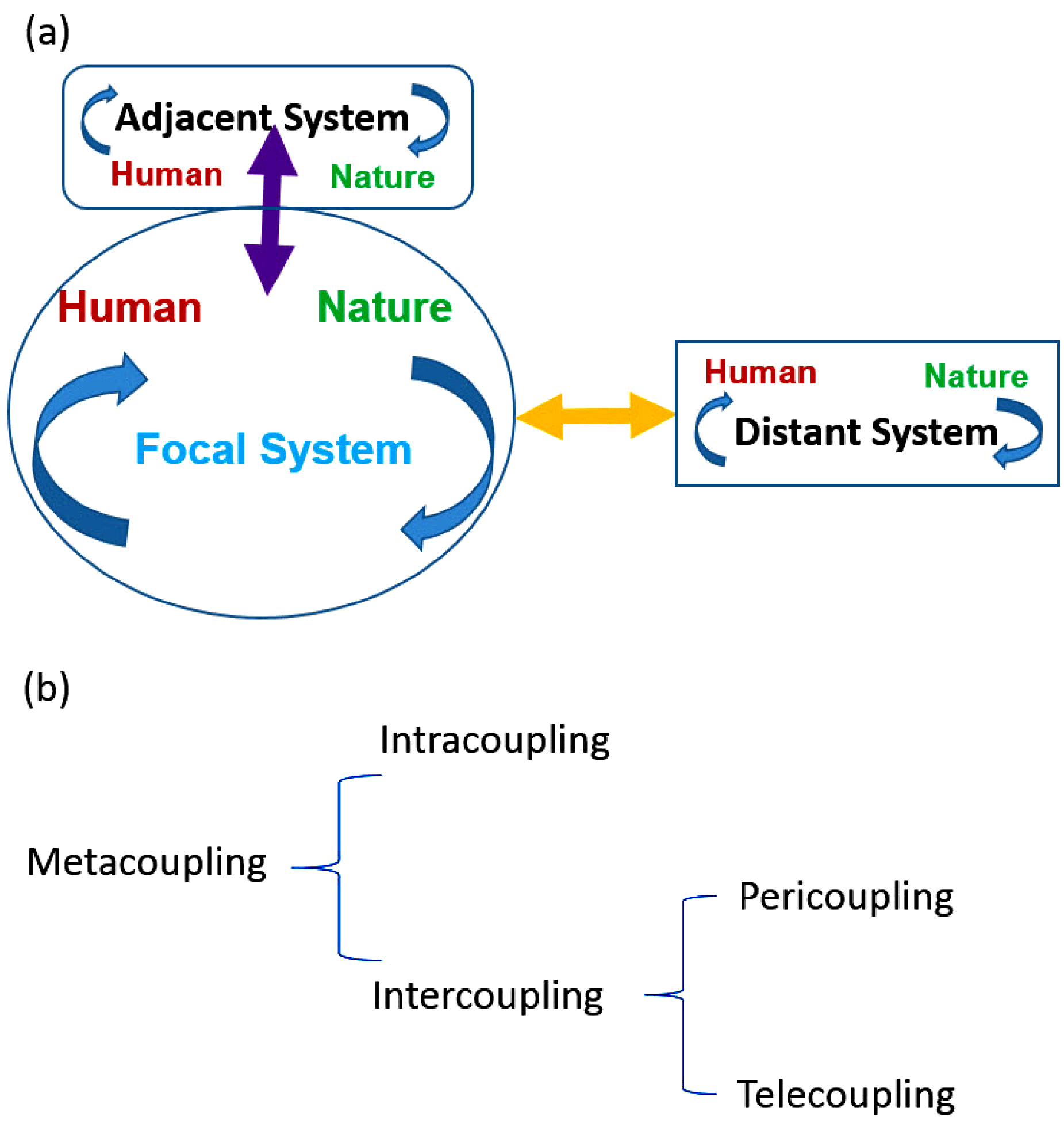 figure1meta2.jpg