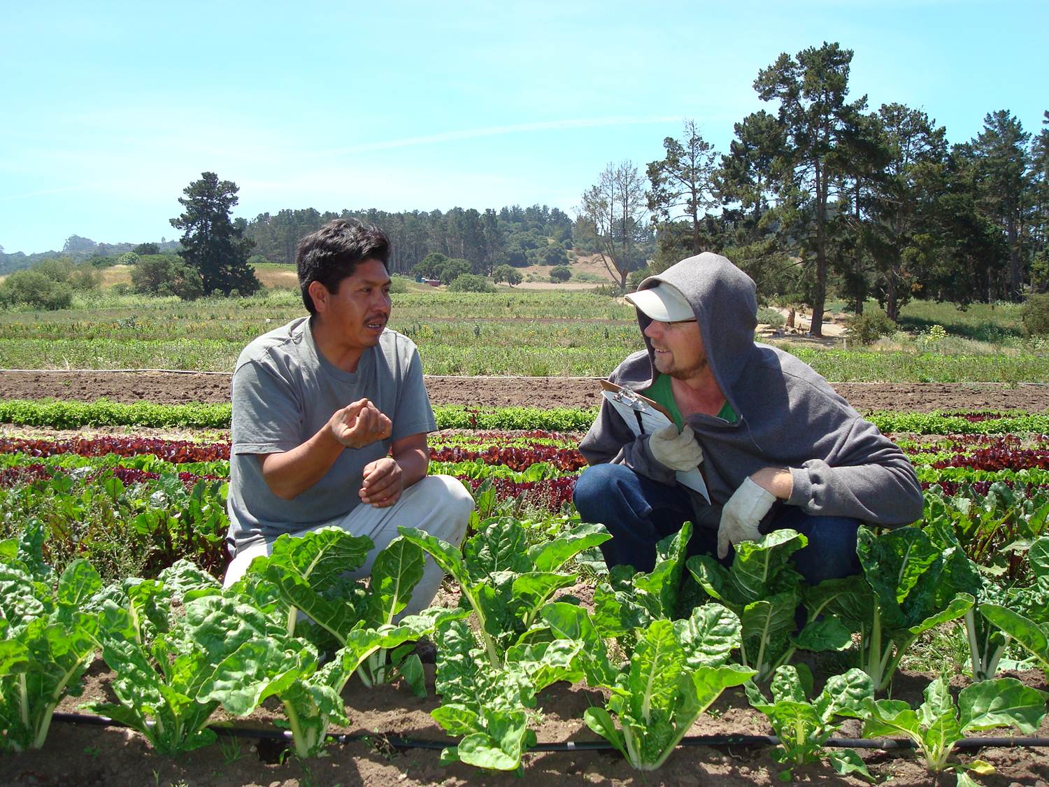 Two men crouch in a farm field