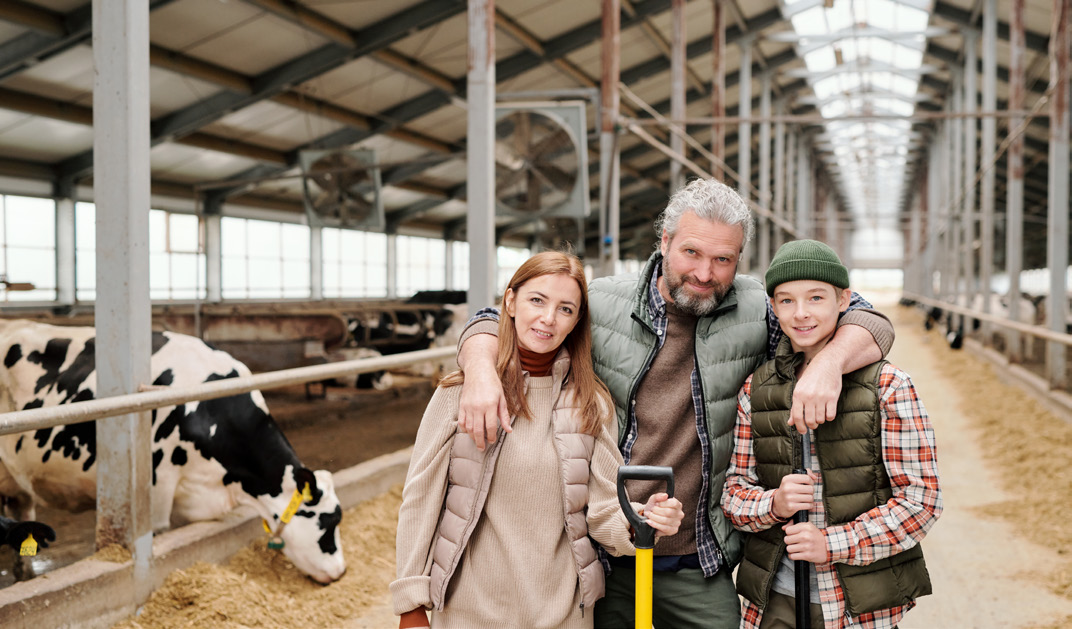 Farther, mother and teenage son standing against long aisle between paddocks with livestock.