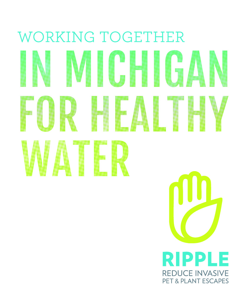Image is a graphic with text that says "Working Together in Michigan for Healthy Water"