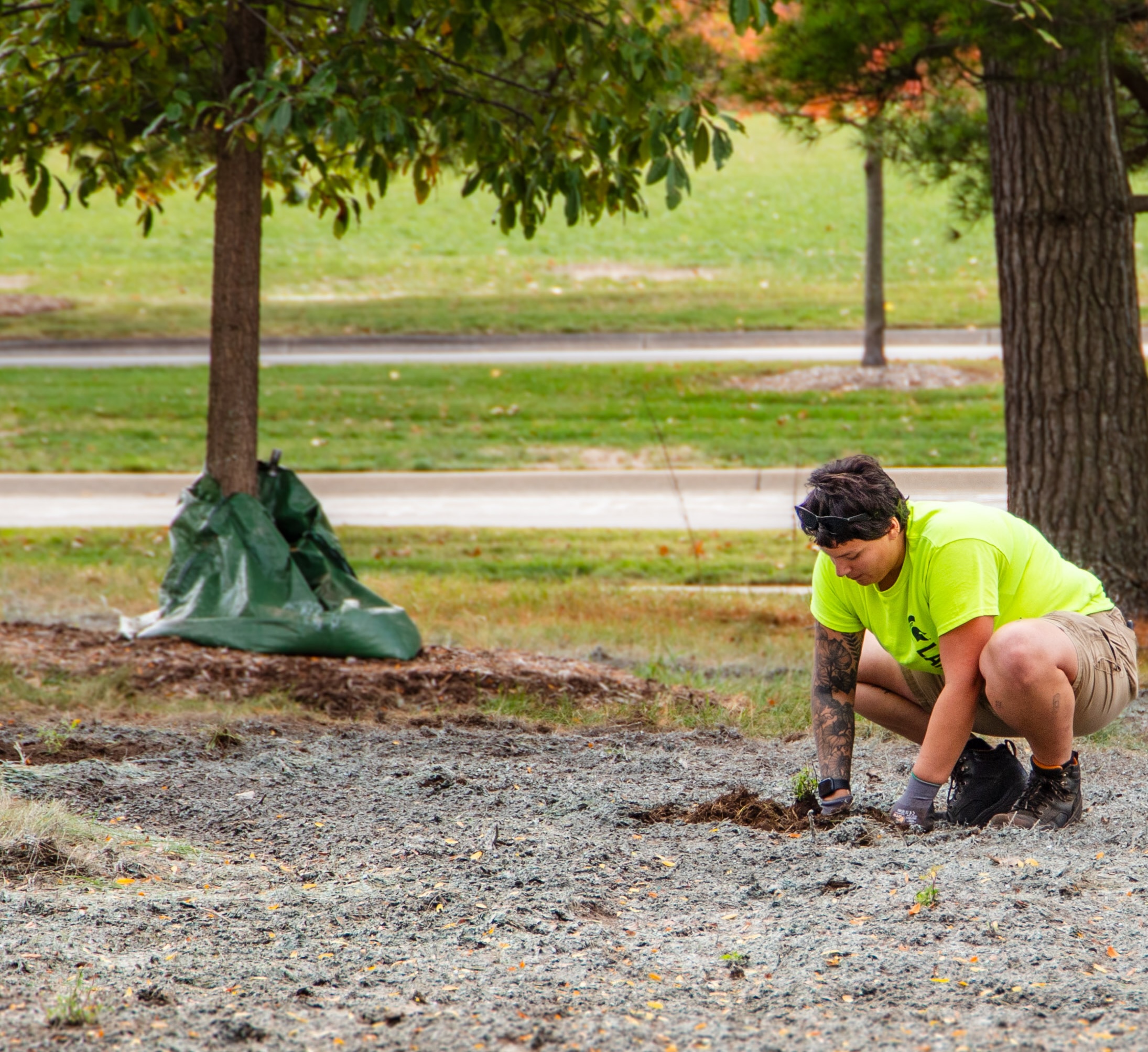 PollinatorGarden_planting.jpg