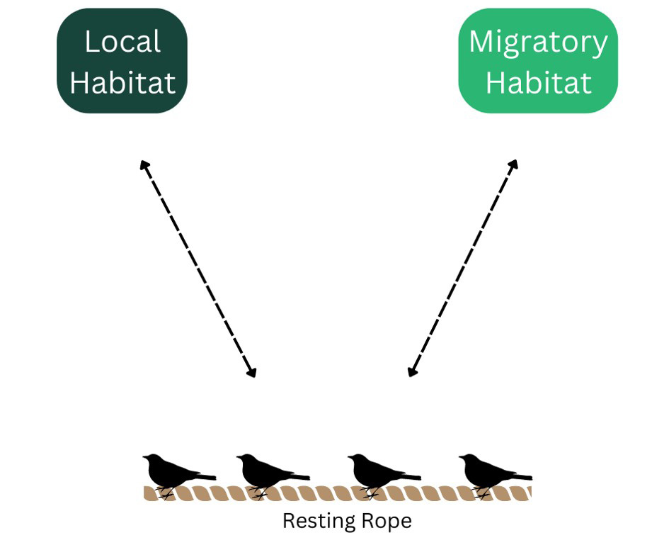 NatureConnections_4H1767_2023_WDSBM_figure_one.jpg