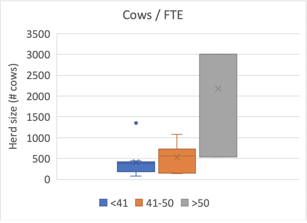 Cows_FTE