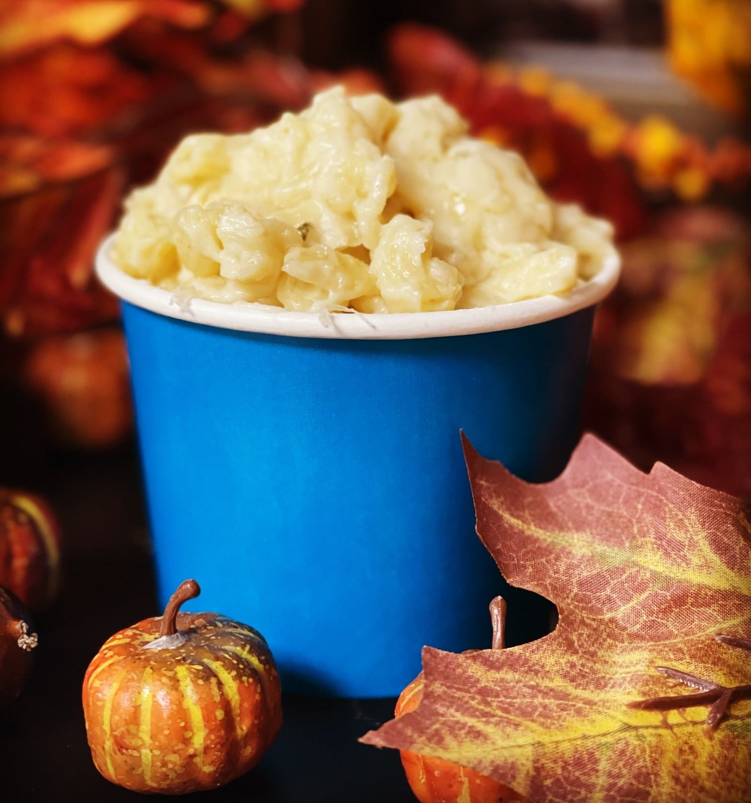 MSU Dairy Store macaroni and cheese cups.