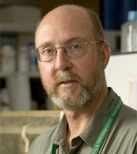 Ned Walker, a professor in the MSU Department of Entomology