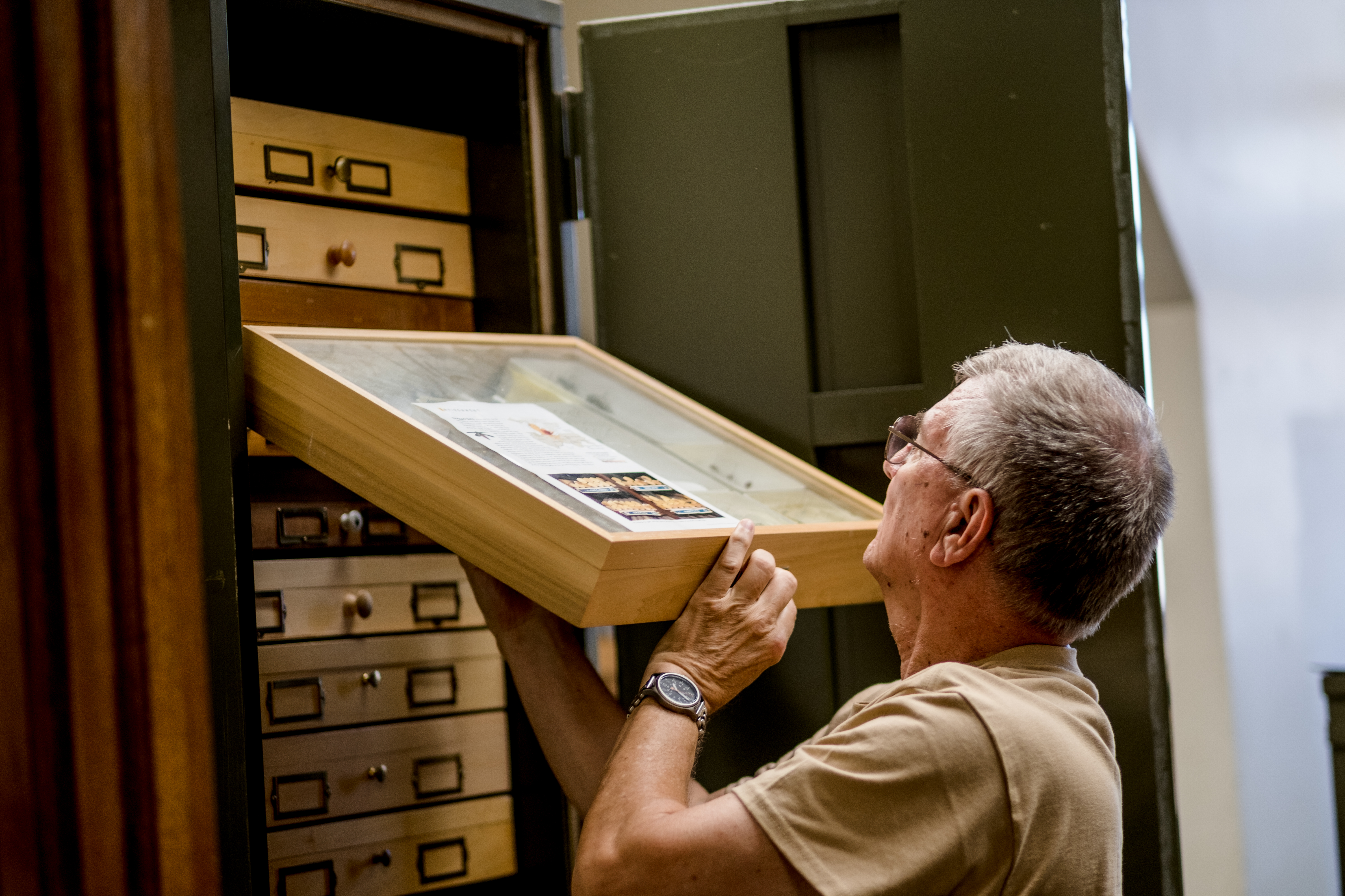 Gary Parsons holding drawer of specimens