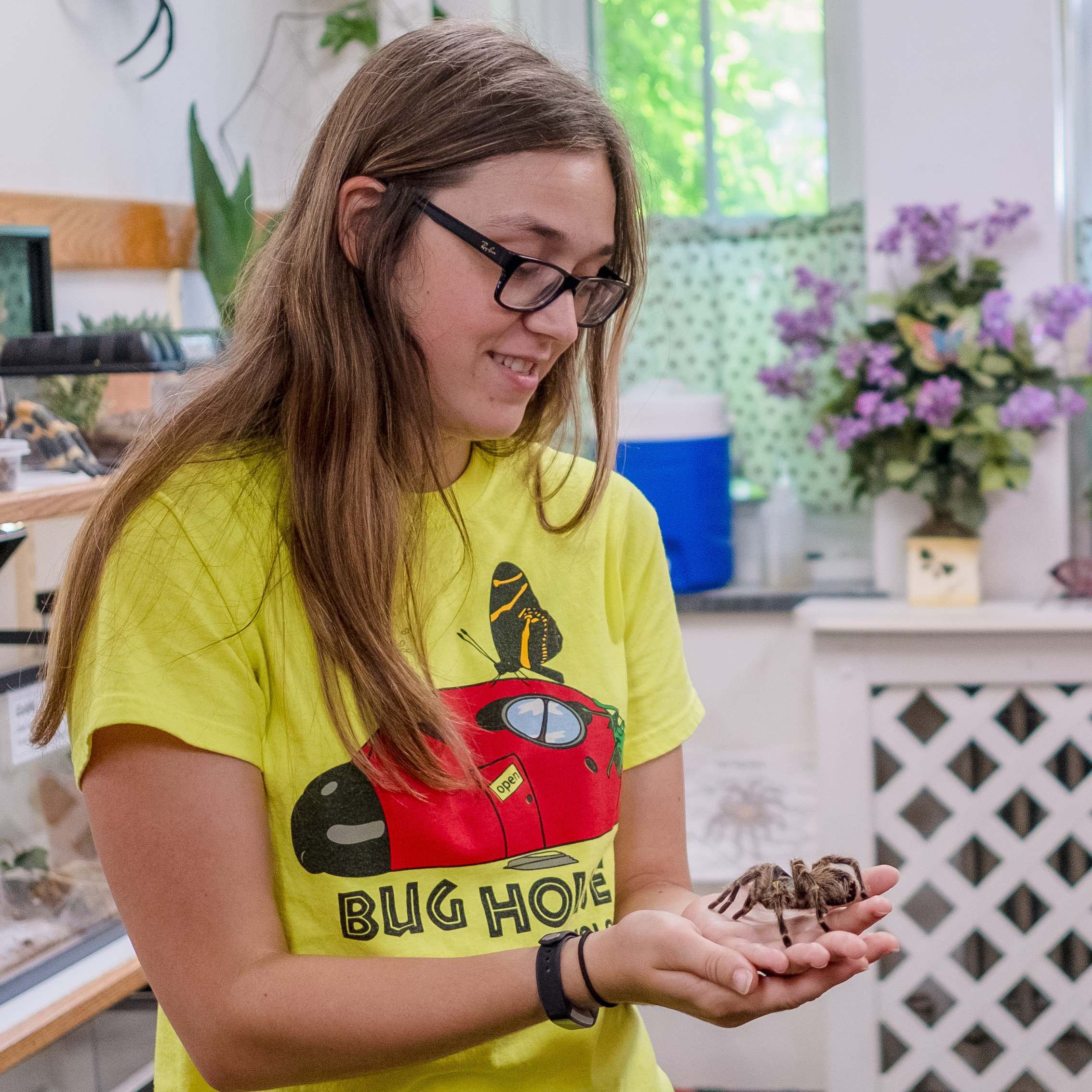 Allison Zahorec holds a tarantula in the MSU Bug House.