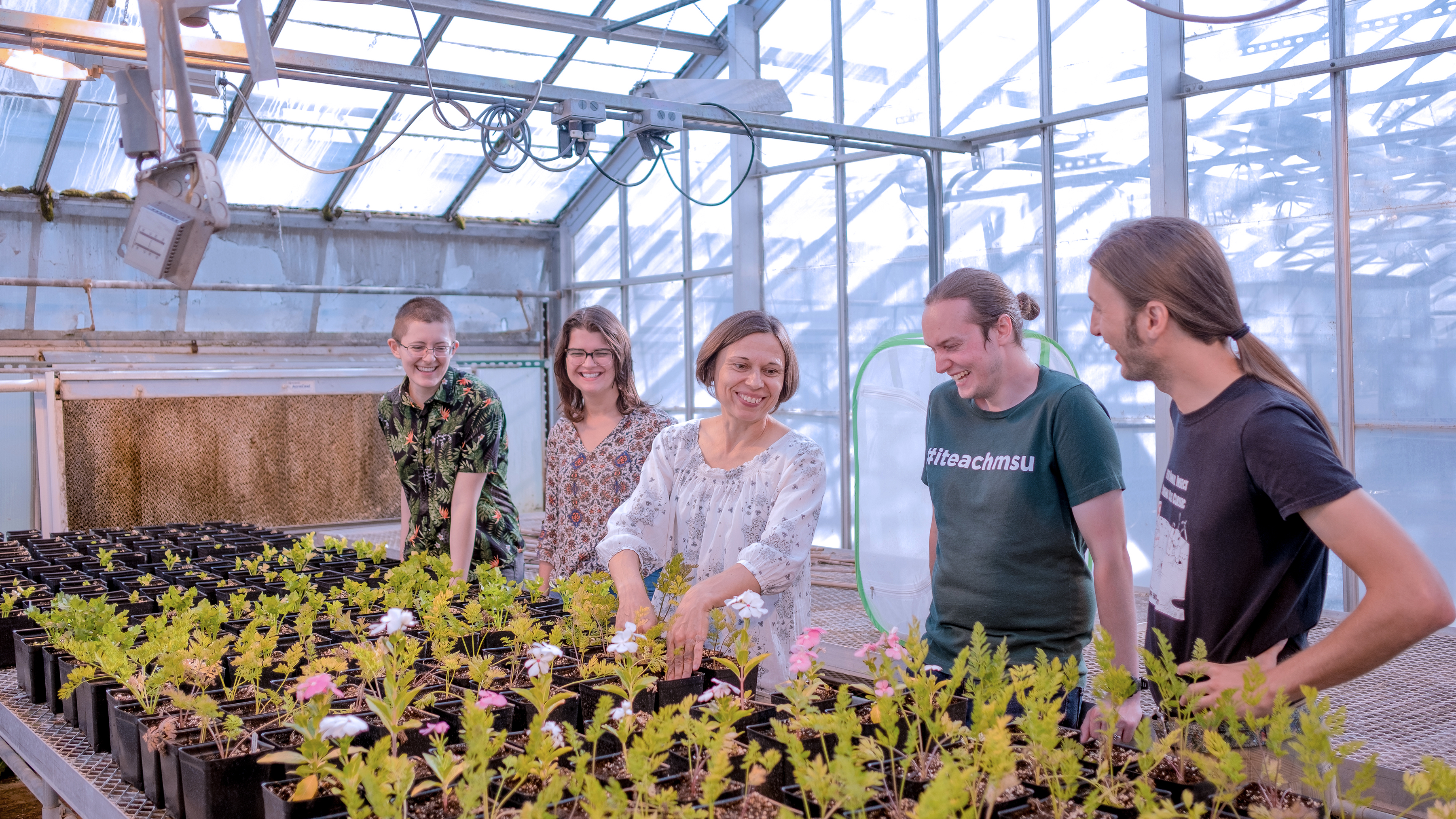 Zsofia team in greenhouse