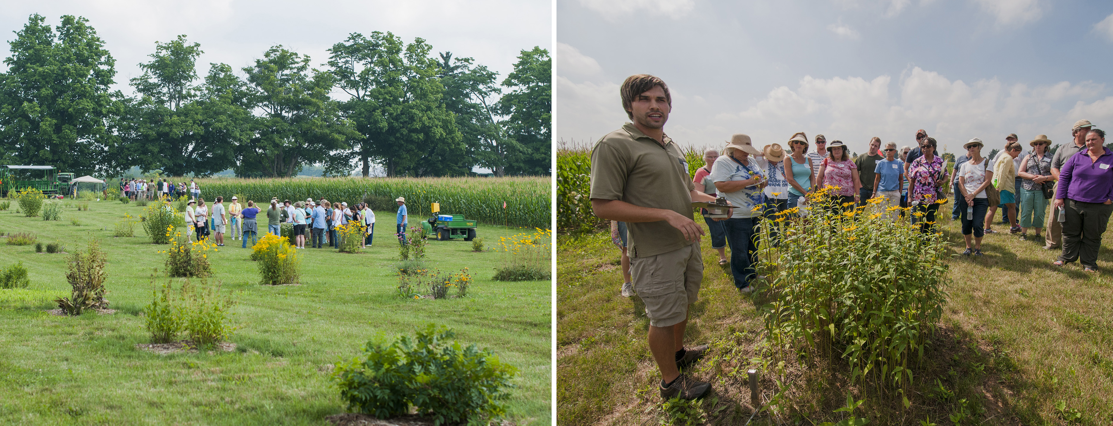 Attendees at a field day