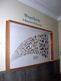 Winged Jewels