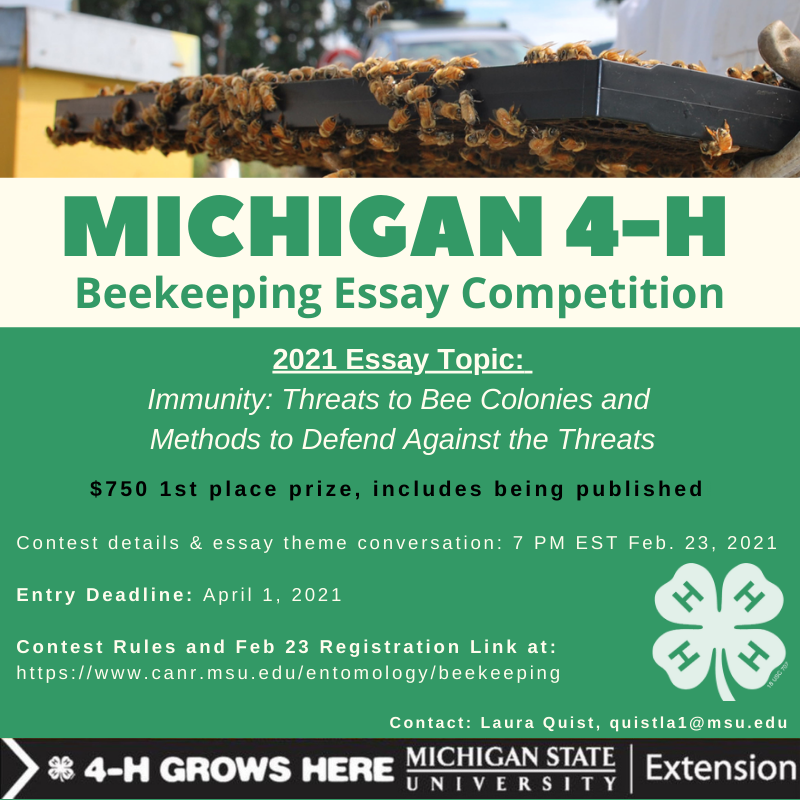 4-h honey bee essay contest picture