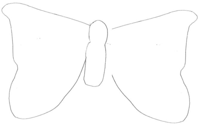 Moth outline