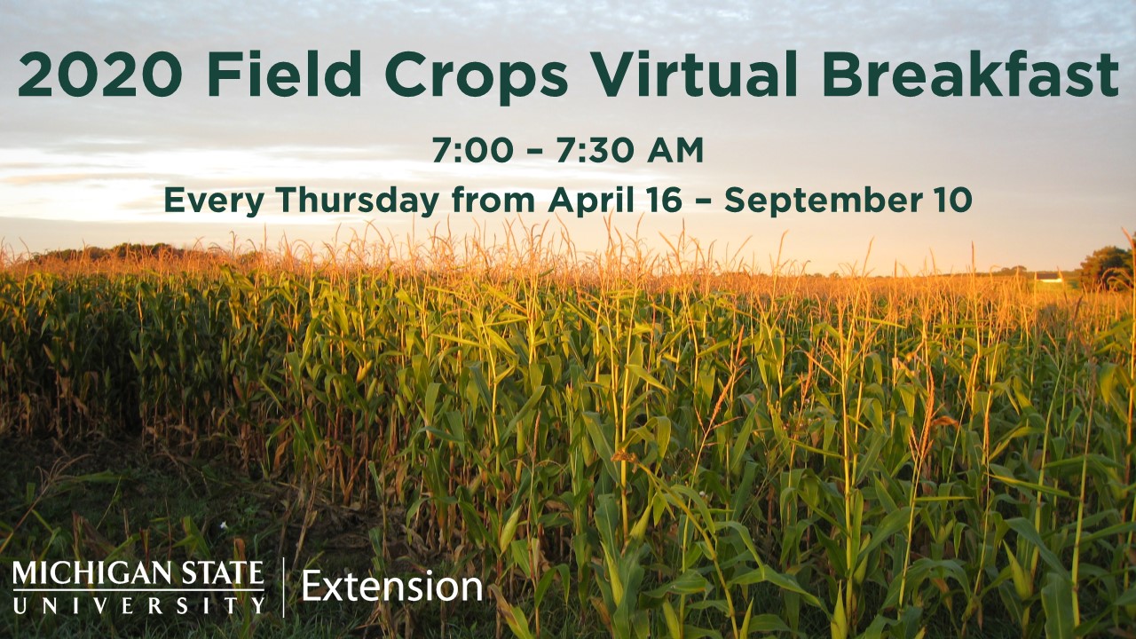 Virtual Breakfast - Field Crops