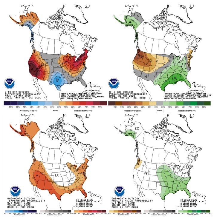 - Temperature (left) and precipitation (right) for the 6-10 day outlook 