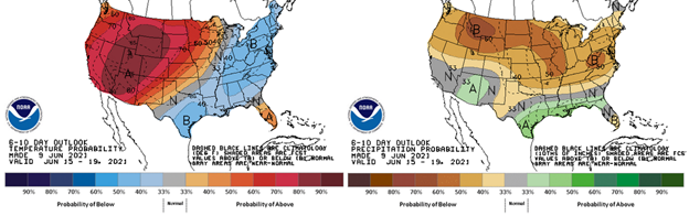 The 6-10 day outlook