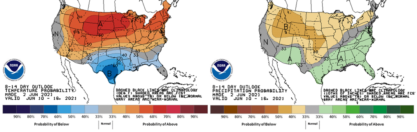 The 8-14 day outlook (June 10-16) for temperature (left) and precipitation (right).