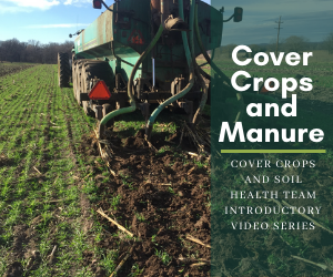 Cover Crops and Manure
