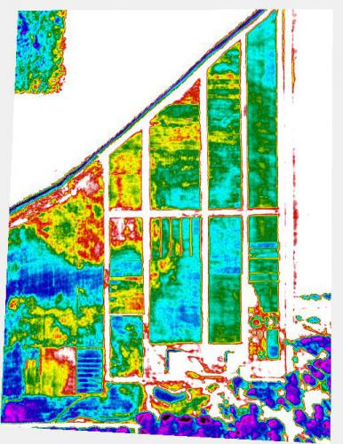 JimZookEatonCountyExtensionGeorgeSilvaMonsantoResearchfarmHainsResearch_thermalimage_198304_root_2016_07_22_10_root-min