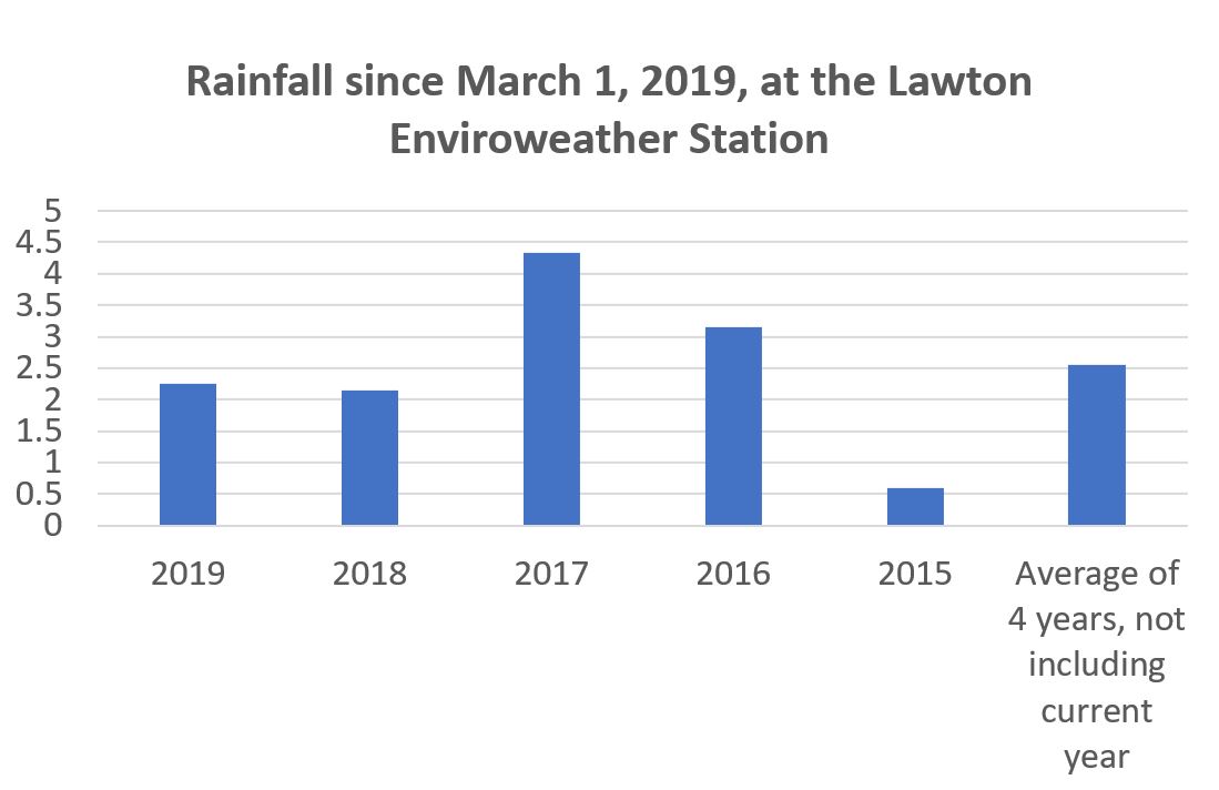 Rainfall accumulations