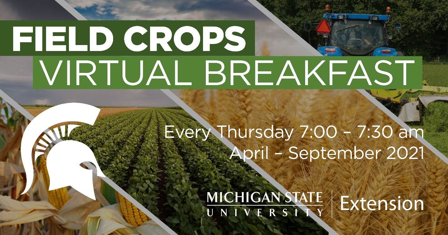 Virtual Breakfast Field Crops